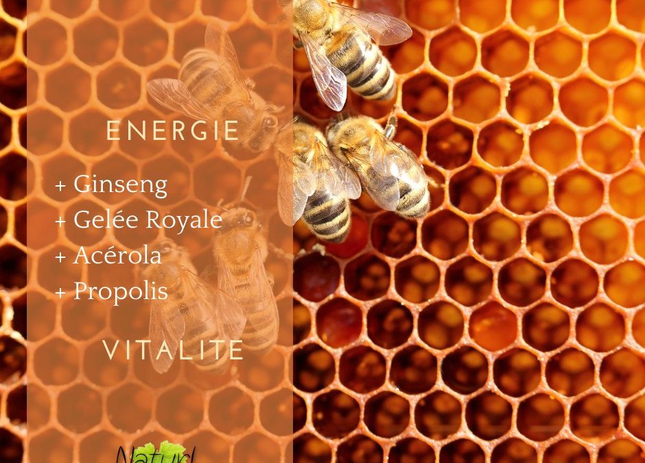 Changement de saison