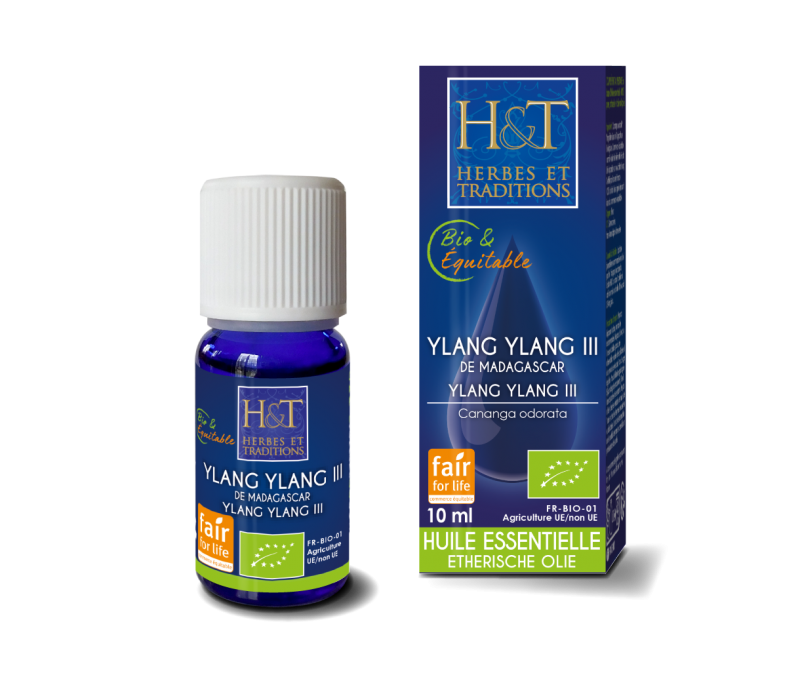 Comprendre l&rsquo;aromathérapie